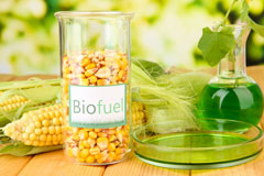 Acton biofuel availability